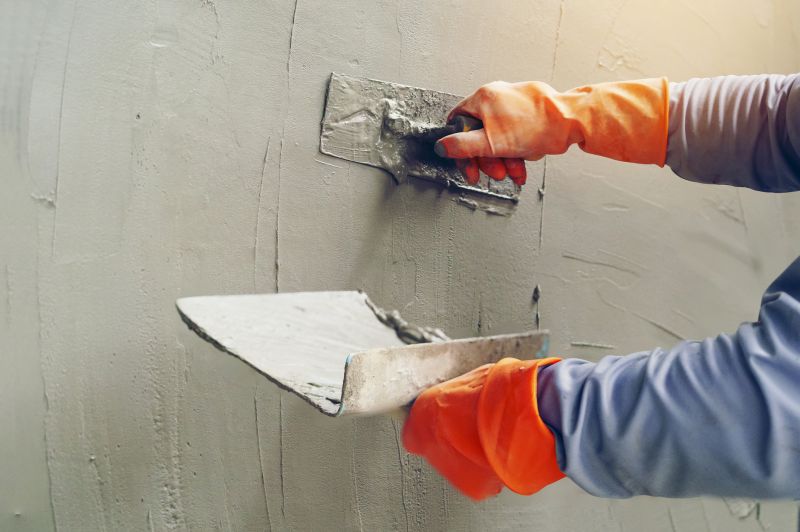 Plaster Repair